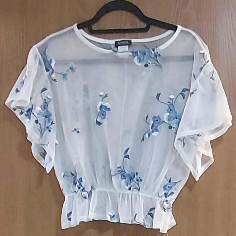 Kimcine Sheer Embroidered Top